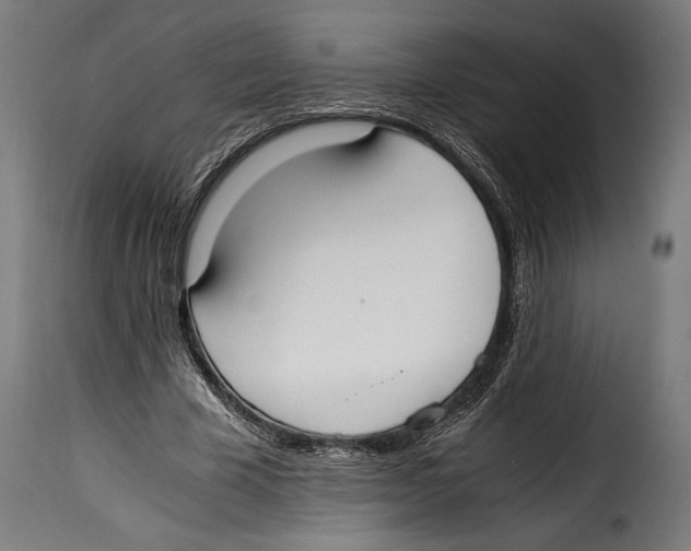 X0000115020585200911231252