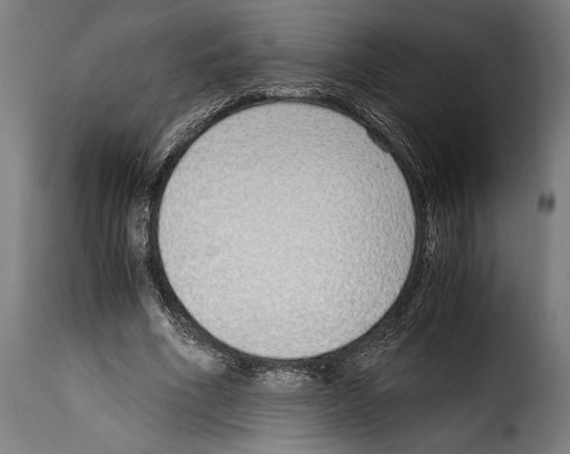 X0000115020586200911231252