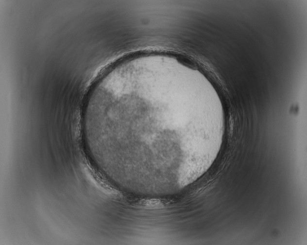 X0000115020588200911231252