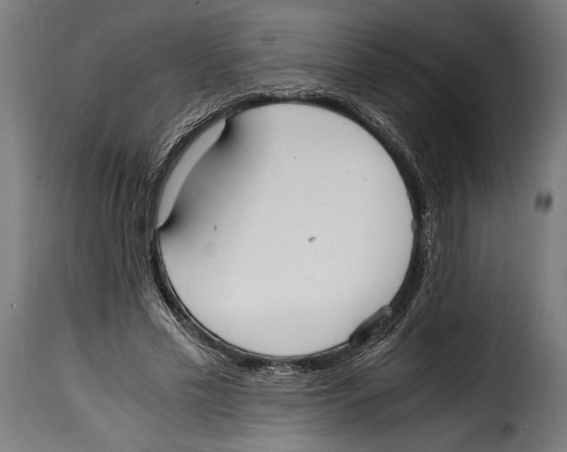 X0000115020589200911231252