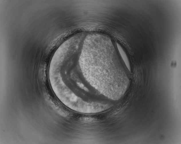 X0000115020590200911231252