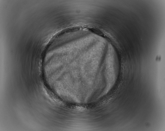 X0000115020592200911231252