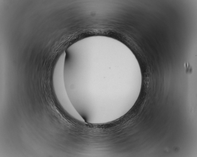 X0000115020593200911231252