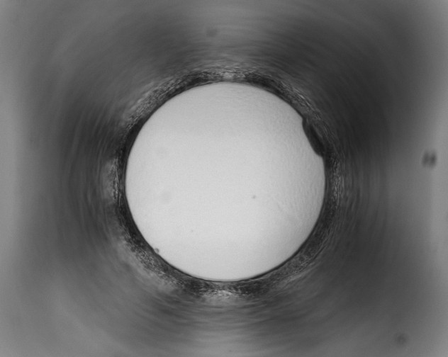 X0000115020594200911231252