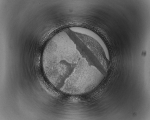 X0000115020596200911231252