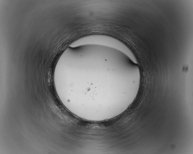 X0000115020597200911231252