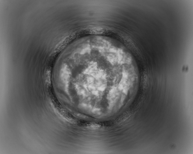 X0000115020598200911231252