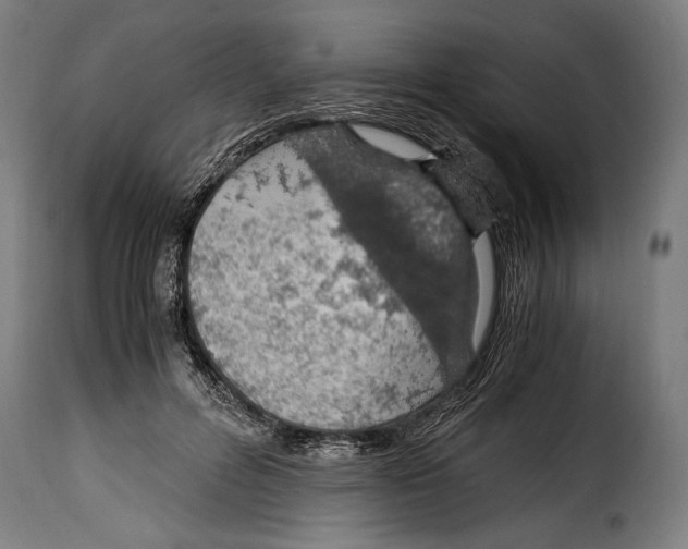 X0000115020600200911231252