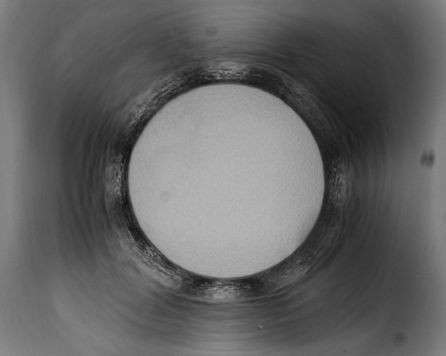 X0000115020604200911231252