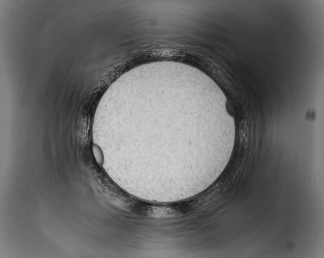 X0000115020605200911231252