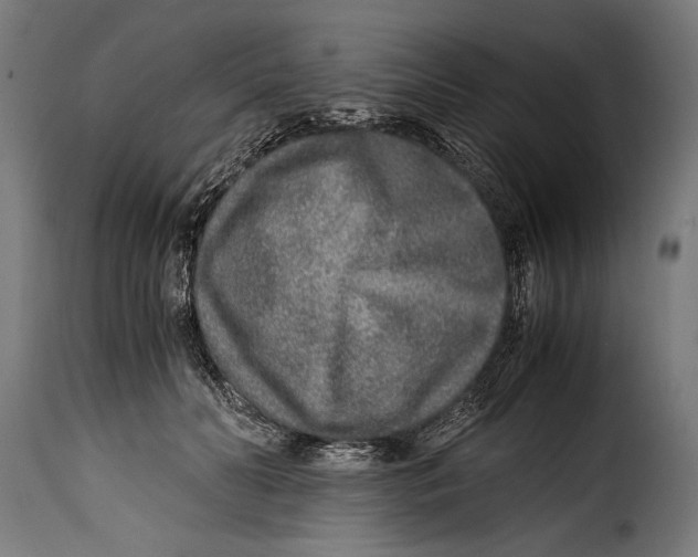 X0000115020606200911231252