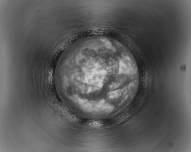 X0000115020610200911231252