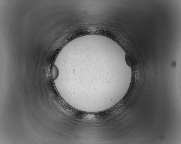 X0000115020611200911231252