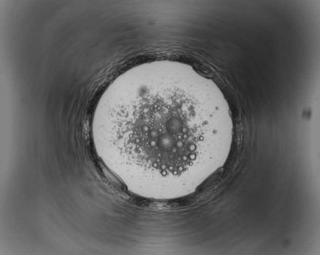 X0000115020613200911231252