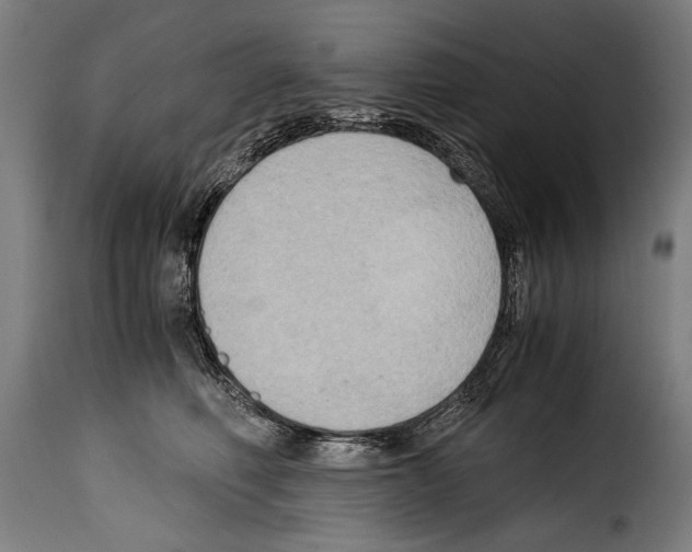 X0000115020614200911231252