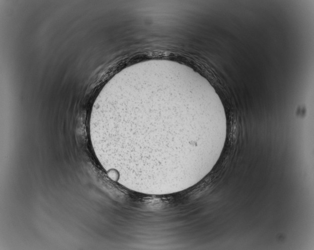 X0000115020616200911231252