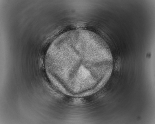 X0000115020618200911231252