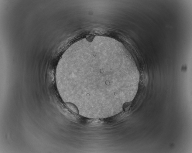 X0000115020621200911231252