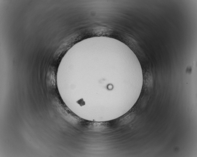 X0000115020622200911231252