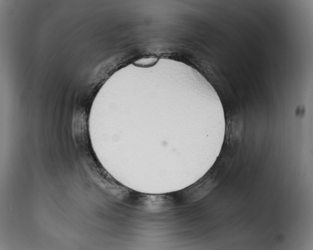 X0000115020623200911231252