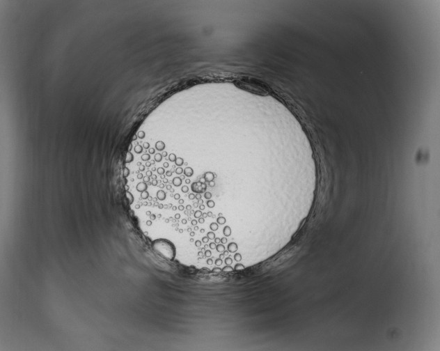 X0000115020624200911231252