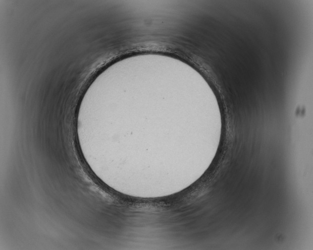 X0000115020625200911231251