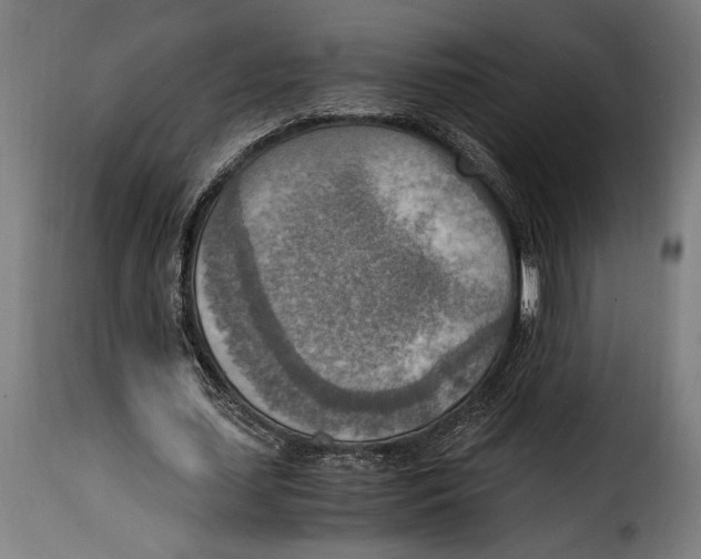 X0000115020627200911231251