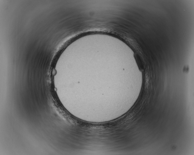 X0000115020628200911231251