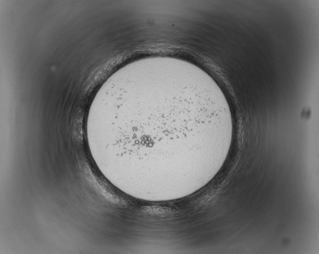 X0000115020633200911231251