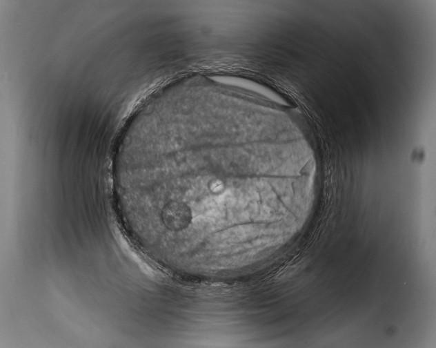 X0000115020634200911231251