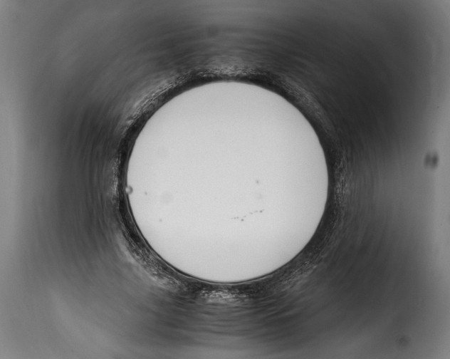 X0000115020635200911231251