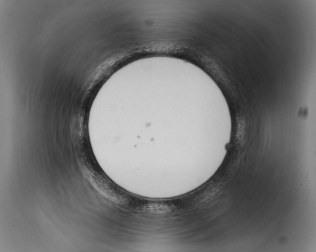 X0000115020636200911231251