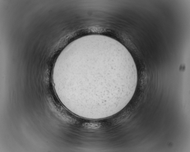 X0000115020639200911231251