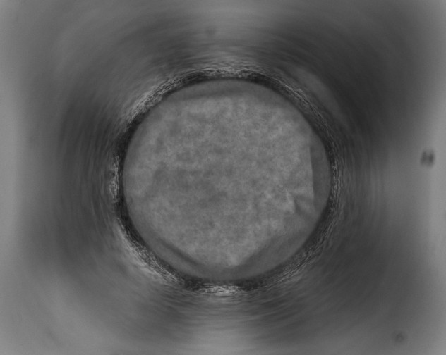 X0000115020642200911231251