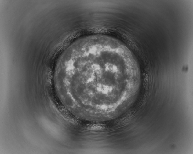 X0000115020643200911231251