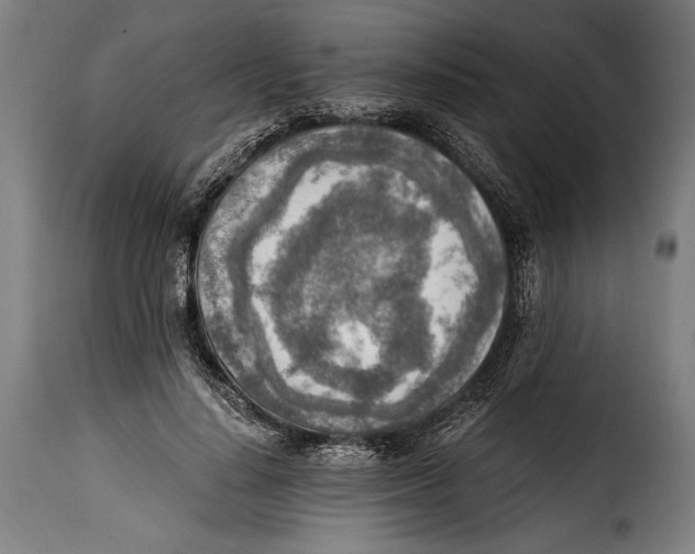 X0000115020644200911231251