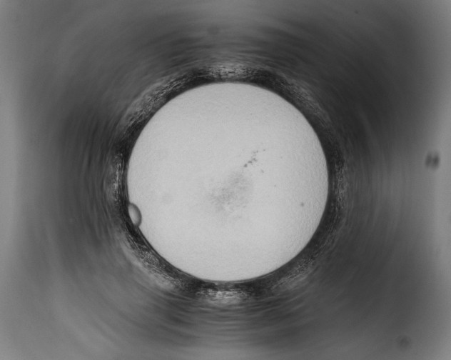 X0000115020645200911231251