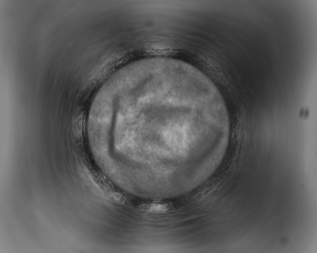 X0000115020647200911231251