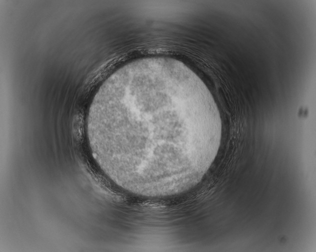 X0000115020648200911231251