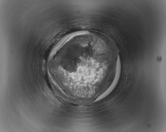 X0000115020650200911231251