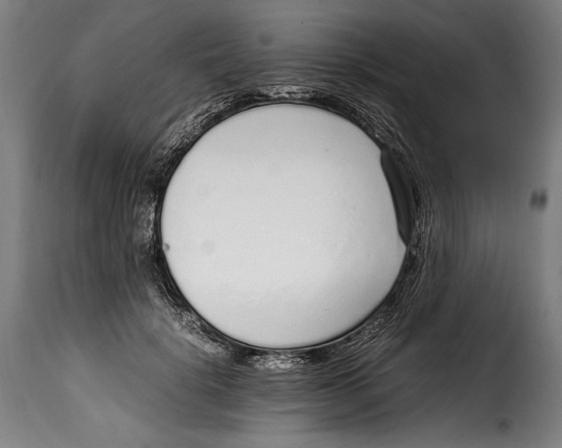 X0000115020652200911231251