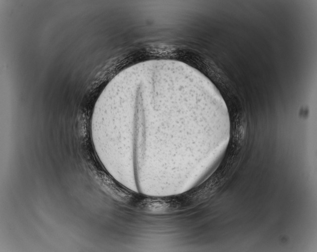 X0000115020658200911231251