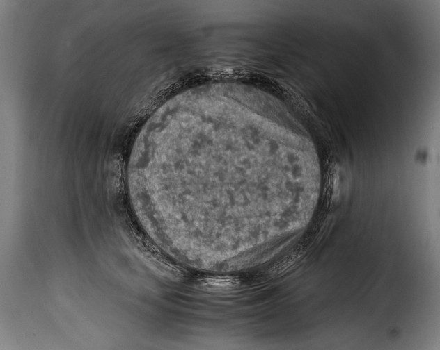 X0000115020659200911231251