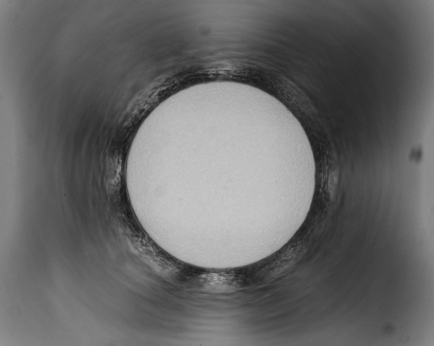 X0000115020660200911231251