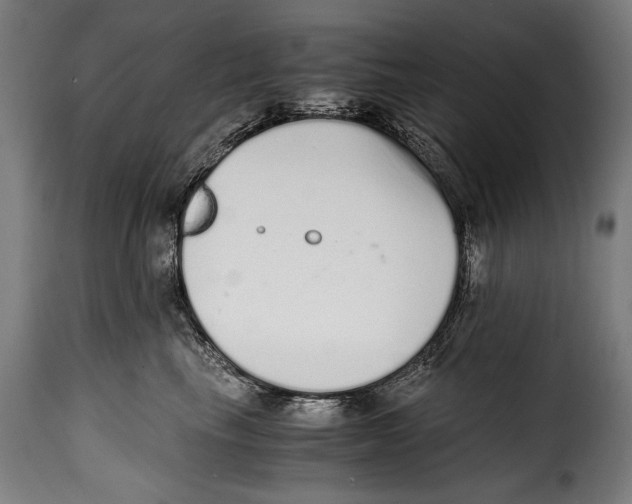 X0000115020665200911231252