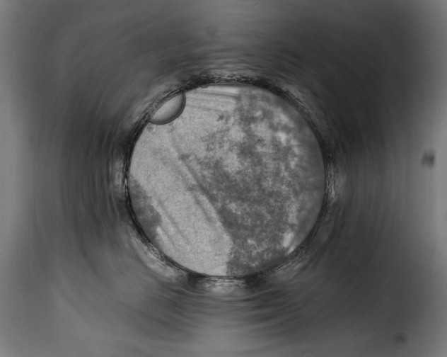 X0000115020670200911231252