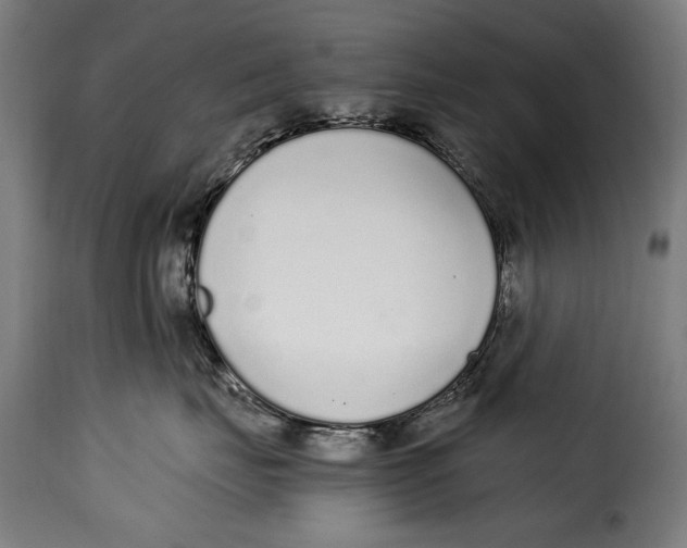 X0000115020671200911231252