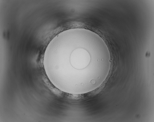 X0000115020672200911231252