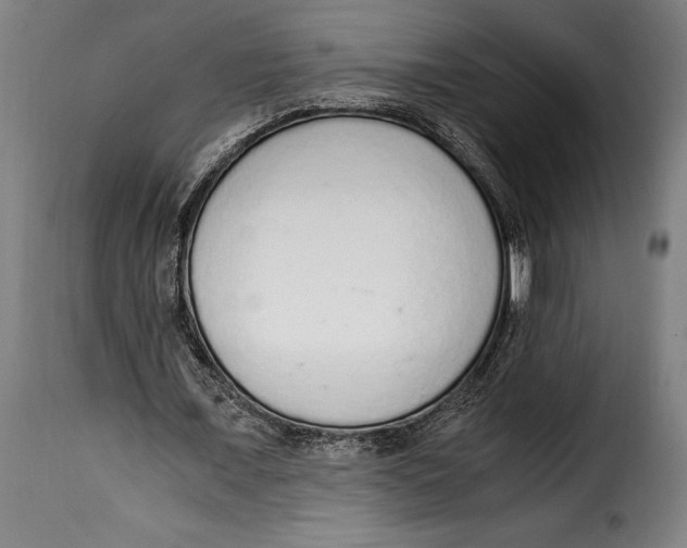 X0000115020675200911231251