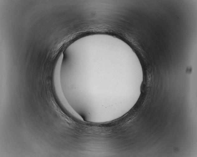 X0000115020681200911231251